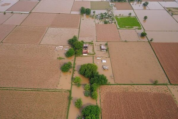 massive displacement